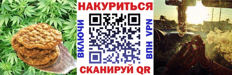 Купить закладки  Шахты  Canna-Cookies марихуана 