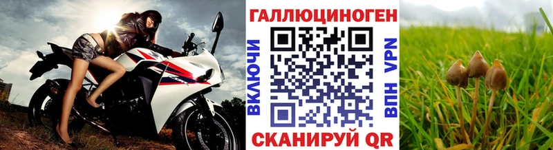 Галлюциногенные грибы MAGIC MUSHROOMS  Купить  Шахты 